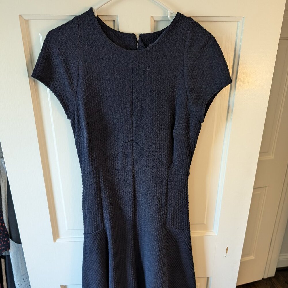 Banana Republic Fit and Flare Navy Dress